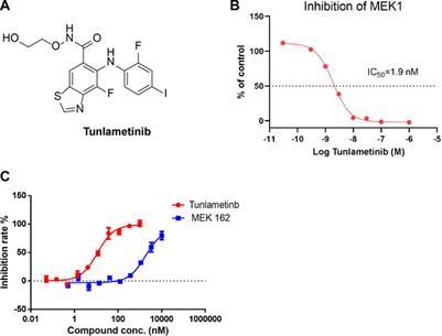 Preclinical characterization of tunlametinib, a novel, potent, and selective MEK inhibitor